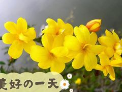 -国家植物园