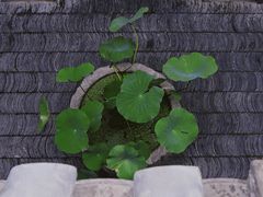 -糖房咖啡(南锣鼓巷店)