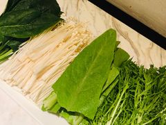 -汤城·料青山