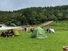 -武陵山森林公园
