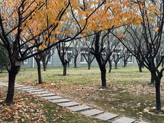 -上海财经大学(国定路校区)