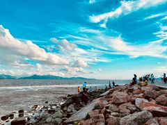 -深圳湾公园(南山区)