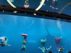 -瑞德姆美人鱼海底演艺主题餐厅(亚龙湾店)