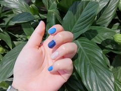 -海底捞火锅(大融城店)