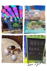 -宝燕乐园(闵行旗舰店)