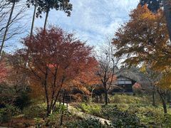 -三千院