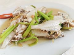 -老三鱼仔店