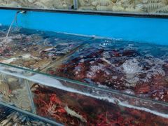 -港畔赶海蒸汽海鲜烧烤自助(仙螺岛店)