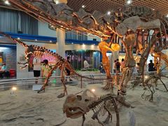 -国家自然博物馆