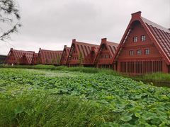 -广富林郊野公园