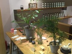 -柴务处·柴犬主题狗咖