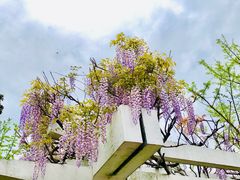 -奉浦四季生态园