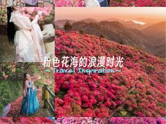 -木兰云雾山