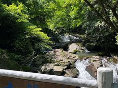 -溪口-滕头旅游景区