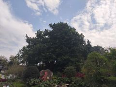 景点-乌山风景区