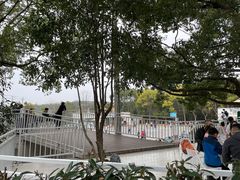 -青龙山国家森林公园
