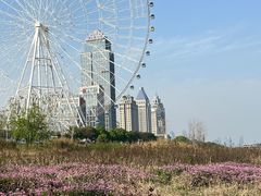 -南昌之星摩天轮