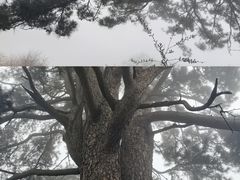 -终南山南五台景区