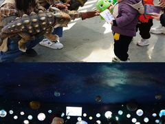 -中国西峡恐龙遗迹园