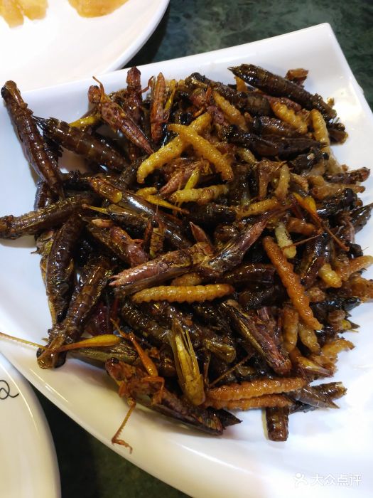 石锅渔·山珍馆-虫子拼盘-菜-虫子拼盘图片-丽江美食-大众点评网