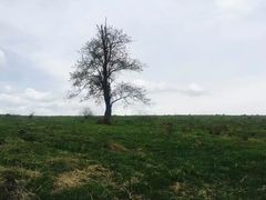 -硗碛藏寨·神木垒景区