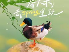 -莲湖公园