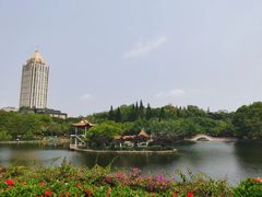 -深圳龙潭公园
