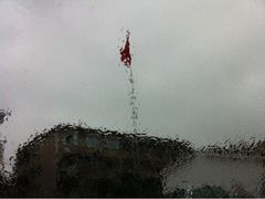 -宋庆龄幼儿园(虹梅路)