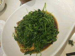 蚌肉金花菜-王记姚家味·地道苏帮菜(凤凰街店)