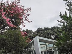 -四海公园(南山区)