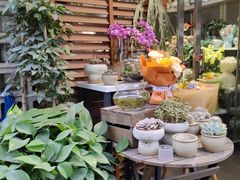 -循礼门鲜花花市(武汉循礼门店)