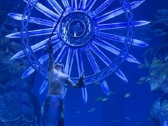 -哈尔滨波塞冬海底世界