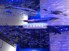 -广东省博物馆