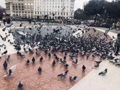 -加泰罗尼亚广场