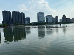 -金沙湖公园