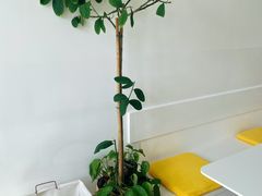 -五进制 Coffee Shop