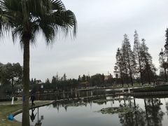 -河泥荡文化公园
