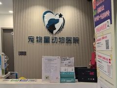 -宠物星动物医院·眼科·异宠·猫科(江南大道总院)