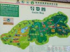 -西双版纳原始森林公园