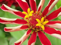 -长春公园(普阳街道)