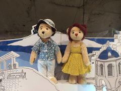 -济州岛泰迪熊博物馆