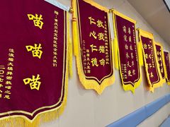 -贝利宠物医院·骨科·眼科·肿瘤转诊中心(南坪诊疗中心)