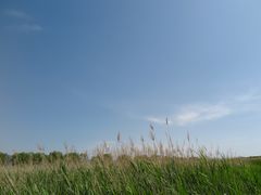 -野鸭湖国家湿地公园