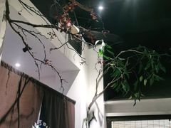 -春天来了(印象新天地店)