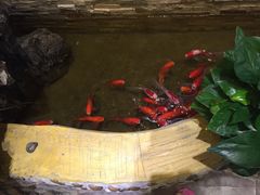 -鸥迪足道(老虎滩店)