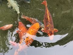 -趵突泉景区