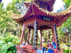 -嘉定紫藤园