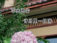-诗经里