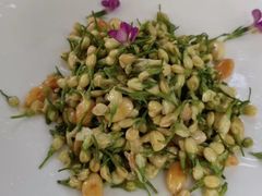 -翠湖湾海鲜音乐餐厅