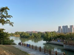 -大亚湾红树林城市湿地公园